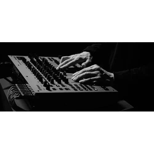 Roland TR-1000 Аналоговая драм-машина