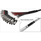Roxtone SFBN0804L10 Мультикор, 8х4, 10м.