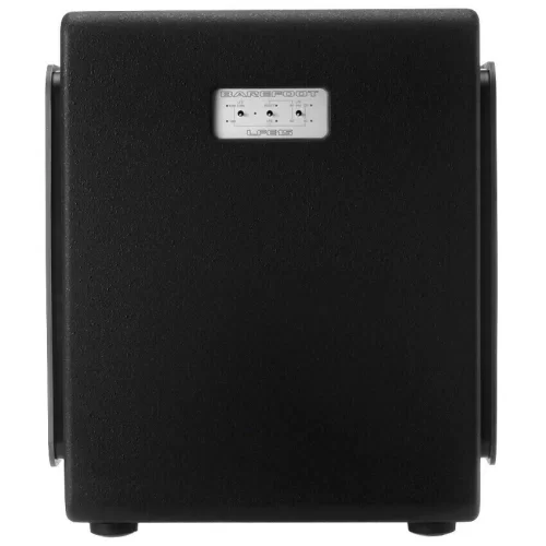 Barefoot Sound LFE15 Студийный сабвуфер, 1400 Вт., 2х15"