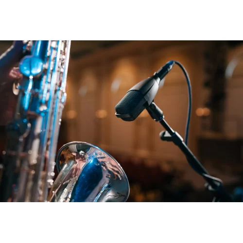 Sennheiser MD 421 Kompakt Инструментальный динамический микрофон
