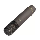 Sennheiser MKH 800 TWIN NX Конденсаторный студийный микрофон