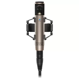 Sennheiser MKH 800 Twin Конденсаторный студийный микрофон