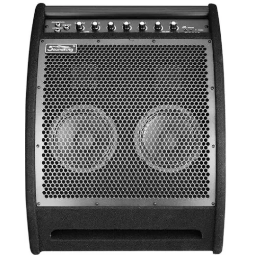 Soundking DS200 Монитор для электронной ударной установки, 200 Вт