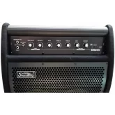 Soundking DS200 Монитор для электронной ударной установки, 200 Вт