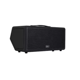 Soundking K100 Автономный гитарный комбоусилитель, 100 Вт., 2х4", Bluetooth