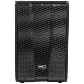 Soundking KJ10A Активная АС, 300 Вт., 10"