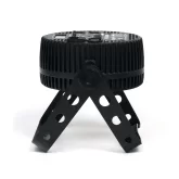 Stage4 Q-PAR 12x10XWAU Прожектор LED PAR, 12x10 Вт., RGBWAUV