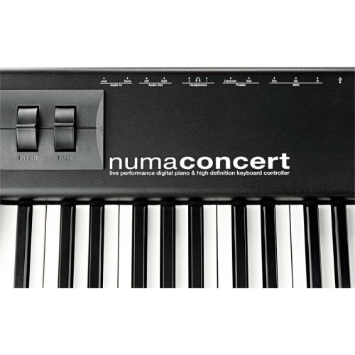 Studiologic Numa Concert Цифровое пианино