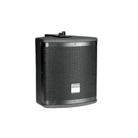 Studiomaster CTR-110 Пассивная АС, 100 Вт., 10"