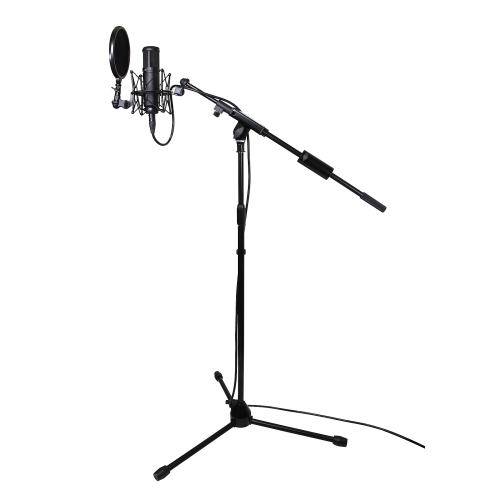 Tascam TM-AM1 Микрофонная стойка журавль