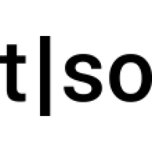 Torso Electronics