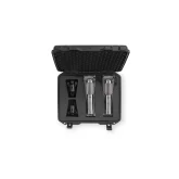 Warm Audio WA-2FT Stereo pair Пара ленточных микрофонов