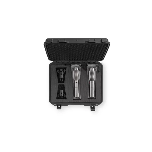 Warm Audio WA-2FT Stereo pair Пара ленточных микрофонов