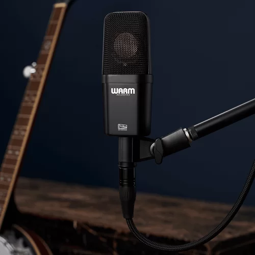 Warm Audio WA-14 Студийный конденсаторный микрофон