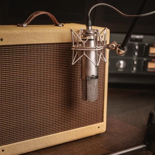 Warm Audio WA-67 Студийный ламповый микрофон