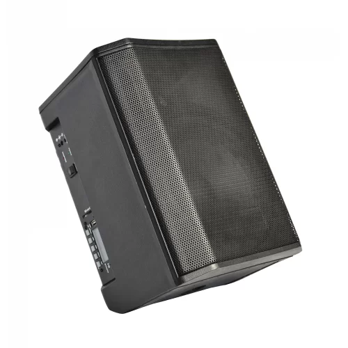 XLine NPS-8A Портативная АС, 30 Вт., 8"