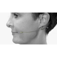 Выбор головного микрофона: разница между всенаправленным и кардиоидным