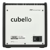 AER Cubello Комбоусилитель акустических инструментов, 80 Вт., 8"