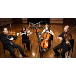 7 Стереомикрофонных техник, которые стоит попробовать