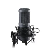 AuraSonics AD22S Stereo Студийный стерео-микрофон