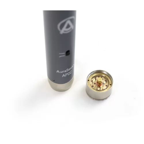 AuraSonics AP22-MP Инструментальные студийные микрофоны, подобранная пара