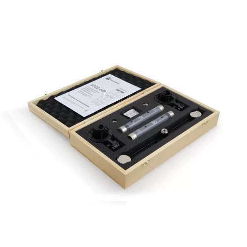 AuraSonics AP22-MP Инструментальные студийные микрофоны, подобранная пара