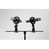 AuraSonics AP22-MP Инструментальные студийные микрофоны, подобранная пара