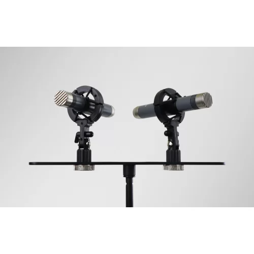 AuraSonics AP22-MP Инструментальные студийные микрофоны, подобранная пара
