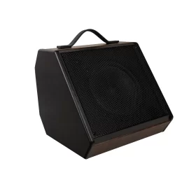 Rockdale Stone 30 Комбоусилитель для электронных ударных, 30 Вт., 8", Bluetooth
