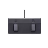 Boss Acoustic Singer Pro ACS-PRO Акустический комбоусилитель, 120 Вт., 8"