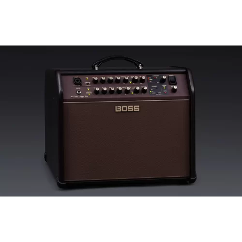 Boss Acoustic Singer Pro ACS-PRO Акустический комбоусилитель, 120 Вт., 8"