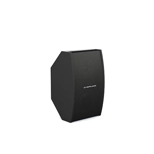 CVGaudio AXE5:8BL Настенная АС, 70 Вт., 5"