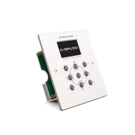 CVGaudio ERC-1W Программируемый настенный контроллер