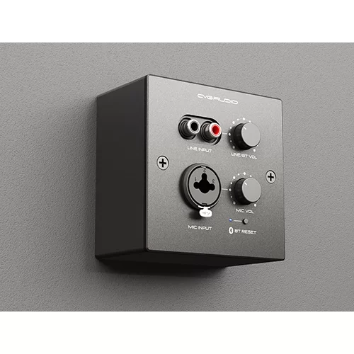 CVGaudio PW-IN/BL Настенная панель удаленного подключения