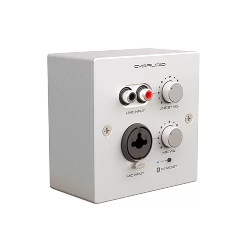 CVGaudio PW-IN/W Настенная панель удаленного подключения