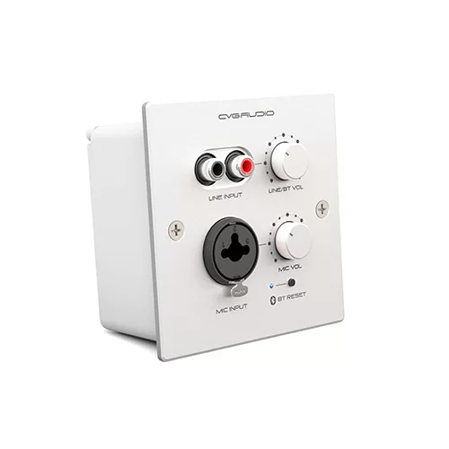CVGaudio PW-IN/W Настенная панель удаленного подключения