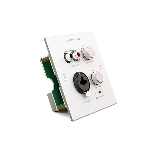 CVGaudio PW-IN/W Настенная панель удаленного подключения