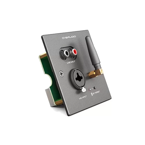 CVGaudio PW/EX-IN/BL Настенная панель удаленного подключения