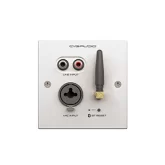 CVGaudio PW/EX-IN/W Настенная панель удаленного подключения