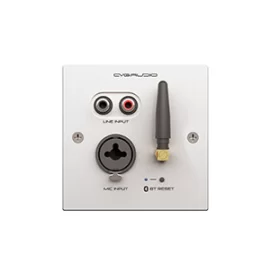 CVGaudio PW/EX-IN/W Настенная панель удаленного подключения