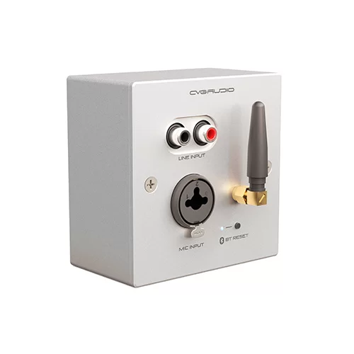 CVGaudio PW/EX-IN/W Настенная панель удаленного подключения