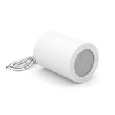 CVGaudio TUBE3:8WH Подвесная АС, 2,5", 40 Вт.