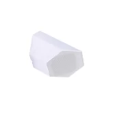 Cloud Electronics CS-S3W Настенный громкоговоритель, 3", 16 Вт