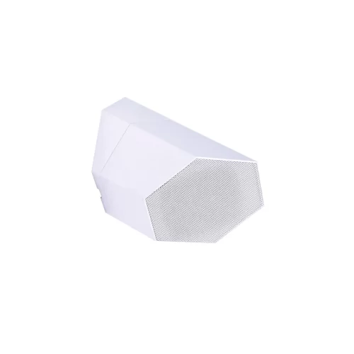 Cloud Electronics CS-S3W Настенный громкоговоритель, 3", 16 Вт