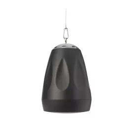 Cloud Electronics CVS-P62TB Подвесной громкоговоритель, 6,5", 20 вт.