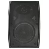 DSSWS-415 Настенный громкоговоритель, 5", 30 Вт.