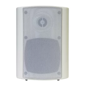 DSSWS-420W Настенный громкоговоритель, 4", 20 Вт.