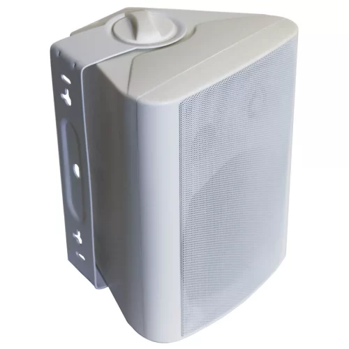 DSSWS-430W Настенный громкоговоритель, 5", 30 Вт.