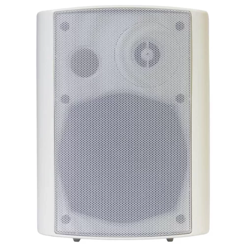 DSSWS-430W Настенный громкоговоритель, 5", 30 Вт.