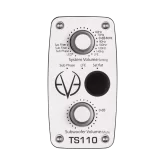Eve Audio TS110 Студийный сабвуфер, 10"
